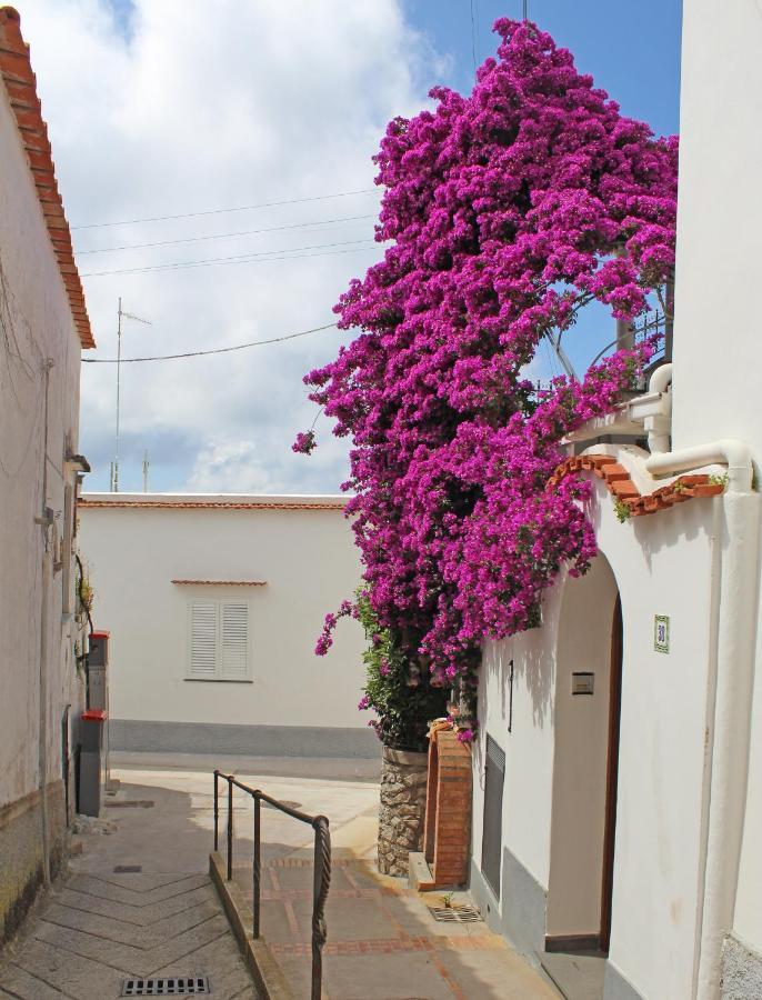 B&B Casa Angelina Anacapri  Exteriör bild